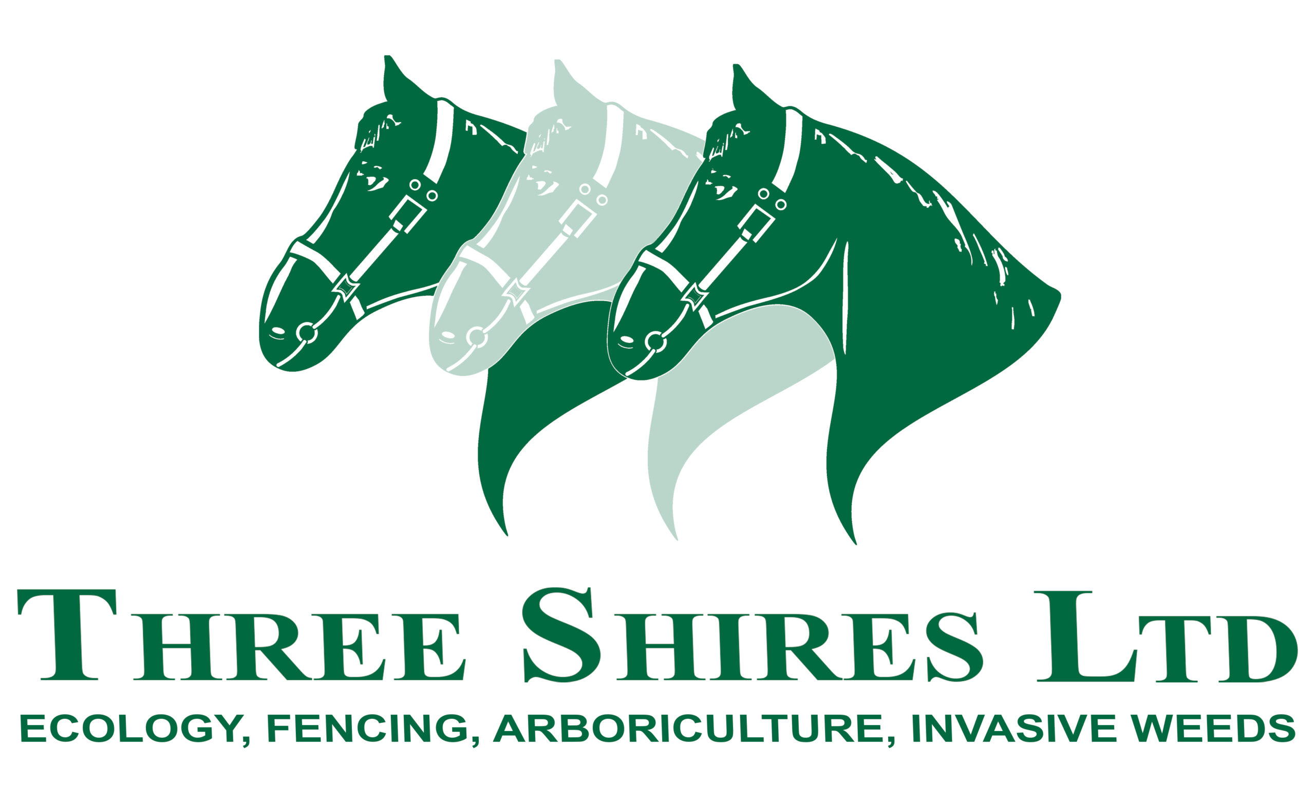 Three Shires Ltd